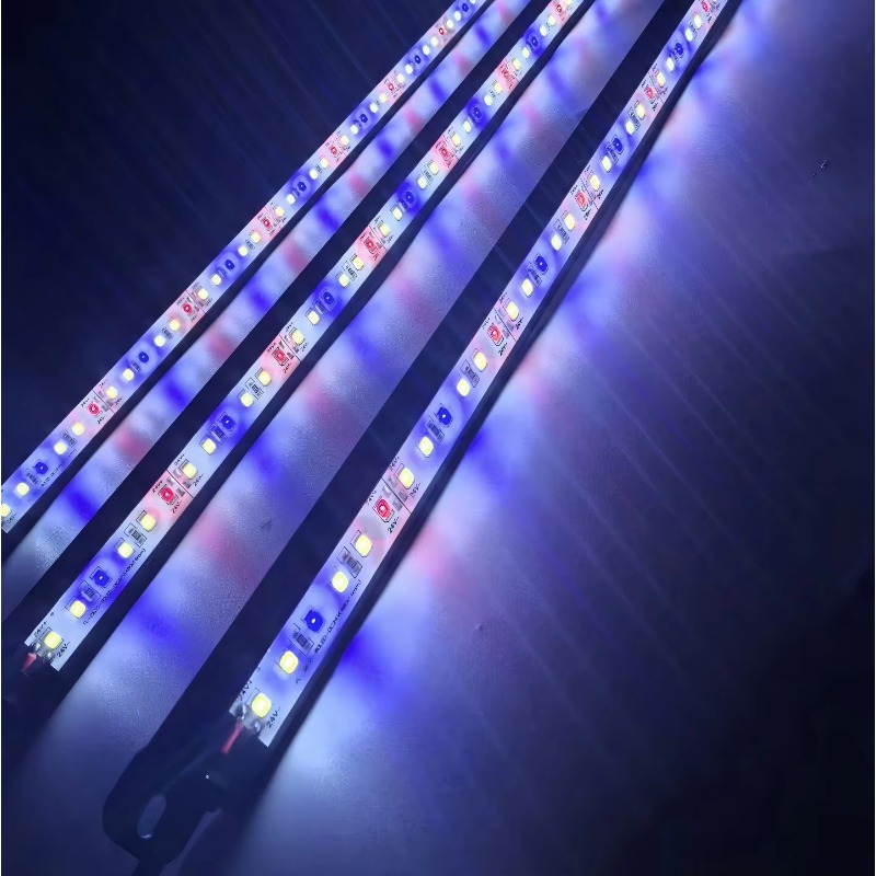IP68 Waterproof LED Aquarium L - Aquarium Blue Marine Reef 评论和价格