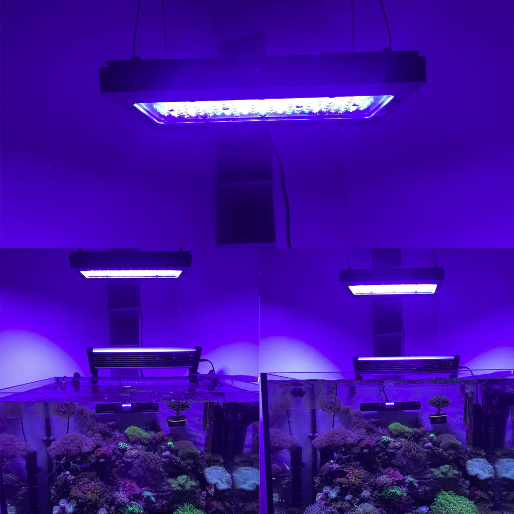 A8se Pro III MAX Blue 240W Mar - Aquarium Blue Marine Reef 评论和价格