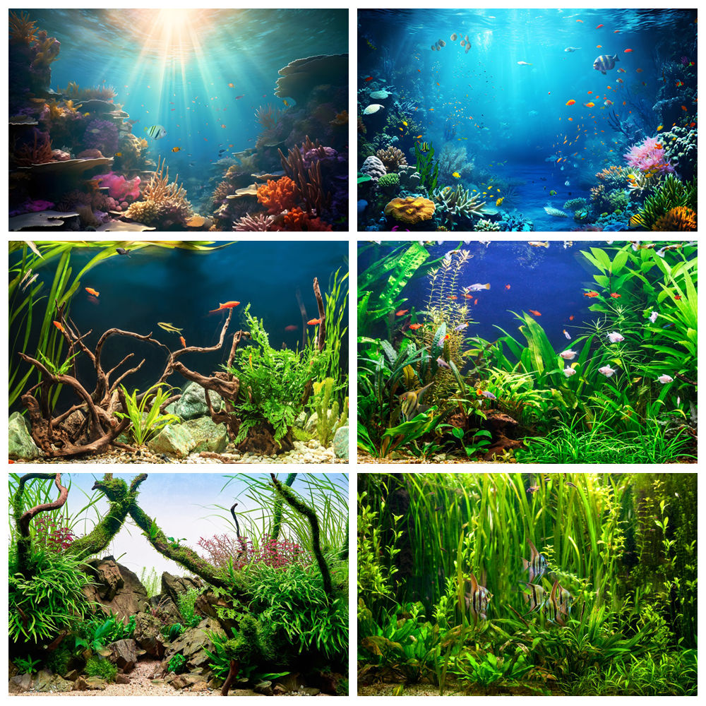 Under Sea Seabed World Photogr - Aquarium Marine World 评论和价格