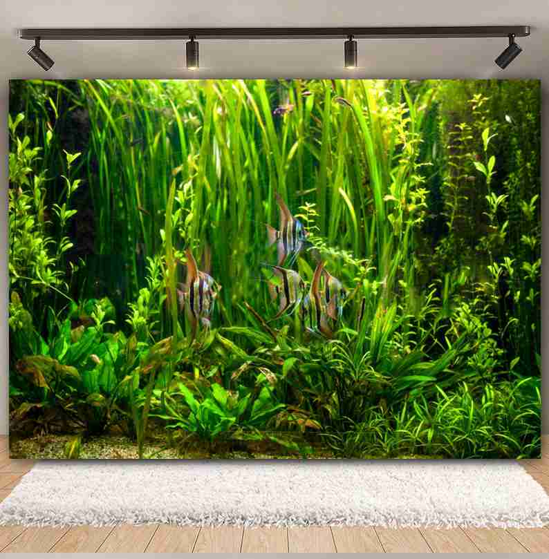 Under Sea Seabed World Photogr - Aquarium Marine World 评论和价格
