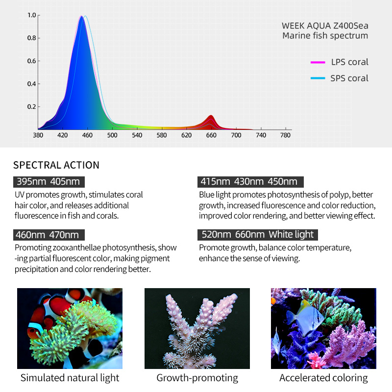 ZXY Hot Sale WEEKAQUA Z250 Z40 - Aquarium Blue Marine Reef 评论和价格