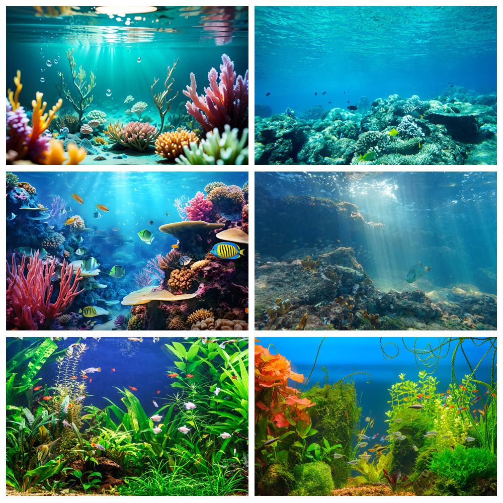 Underwater World Seabed Photog - Aquarium Marine World 评论和价格