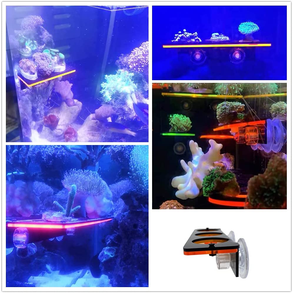 Fluorescent Coral Frag Plug Br - Marine Aquarium Aquascape 评论和价格